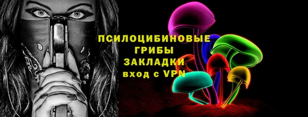 2c-b Белокуриха
