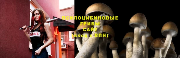 кокаин премиум Инсар